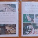 햇살가득동물병원 이미지
