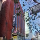 삼화당약국 이미지