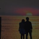 모네정원 이미지