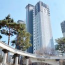 강남-126 이미지