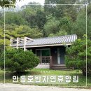 안동호반자연휴양림 숲속의집 다람쥐방 6인실 후기