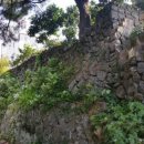 천지연로 이미지