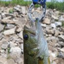 살구골낚시터 이미지