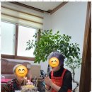 조은시절 이미지