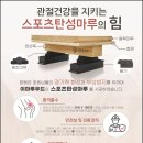 명성체육관 | 경기력까지 생각한 배드민턴장마루 /스포츠마루 바닥 - 김포 메이크민턴 /체육관전용 마루