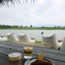 강서부산농장 | 부산 강서구 낙동강 뷰 카페 비아조 방문 후기 – 부산 강변 드라이빙+커피 부산에서 가장 넓고 힐링...