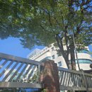 둔산북로90번길 이미지