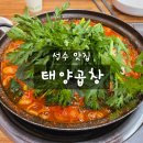 태양미니마트 | 성수역 웨이팅 맛집 태양 곱창 돼지곱창전골 내돈내산 추천