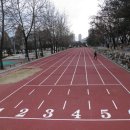 원주치악체육관 이미지