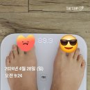 오페라<카르멘>-타악기가 들려주는 못 다 한 이야기 이미지
