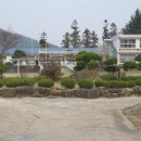 승주초등학교 이미지