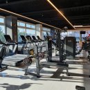 마이비 짐 이미지