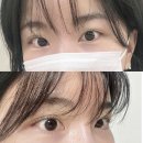 지에스25 부산전포점 | [부산진구 서면·전포] 속눈썹펌 블랙틴팅 맛집 ; '윙커스(구 메이브)' 찐후기_가격,위치,전후비교✨