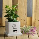 사랑하시개 이미지