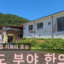 청도양행