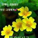 행복법무사 이미지