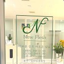 뉴플레쉬
