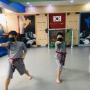 경희대태백태권도장 이미지