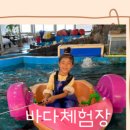 언더워터플레이김녕점