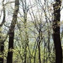 팔현2리 이미지