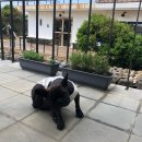 유자네 민박 이미지