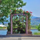 형산강 장미원 이미지