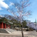 용산-103 이미지