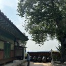 괘릉 화장실 | 경주 템플스테이추천 밥 잘 나오는 감산사 템플스테이 힐링여행