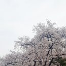 수양 이미지