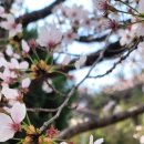 성운대학교 이미지