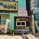 24시 청담우리 동물병원 | 강아지 슬개골탈구 수술 관절주사 초록이 퇴행성 관절염 치료 후기