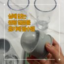 루리 빅볼 얼음트레이 후기 실패 없는 대형 원형 얼음 만들기 후기