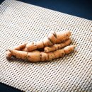 지리산하옹고 이미지