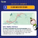 용진생활체육공원(농구장) 이미지