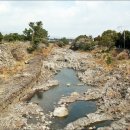 효돈동-6 이미지