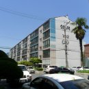 사파동410 이미지