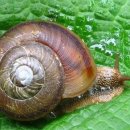 브레인쿡 이미지