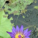 낭산다례원 이미지