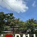 모닝클럽구로점 | 2025 발리 여행 일정,경비 총정리