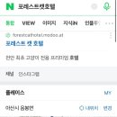 포레스트 캣호텔 이미지