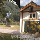 산수화로 이미지