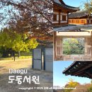 도동서원 | 대구 도동서원 은행나무 시기 단풍 현재 상황 국가유산 방문코스 후기