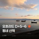 올라이드(All RlDE) | D+87~88｜북마케도니아 오흐리드 동네 산책 그리고 밤 하늘 (한달살기 후기, 발칸 반도 여행)
