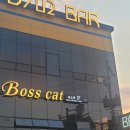 보스캣(BossCat)