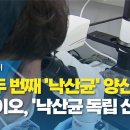 세계 두 번째 &#39;낙산균&#39; 양산 성공...K-바이오, &#39;낙산균 독립 선언&#39;! 이미지