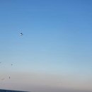 유화초전복죽 이미지