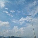 십리벚꽃산장 네이버블로그