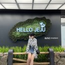 というか~수학여행 후기