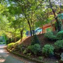 백야자연휴양림 이미지