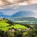 분당고은 동물병원 이미지